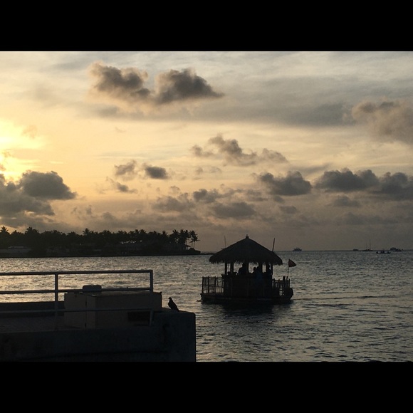 Meet your Posher, Shannon - Picture 5 of 7